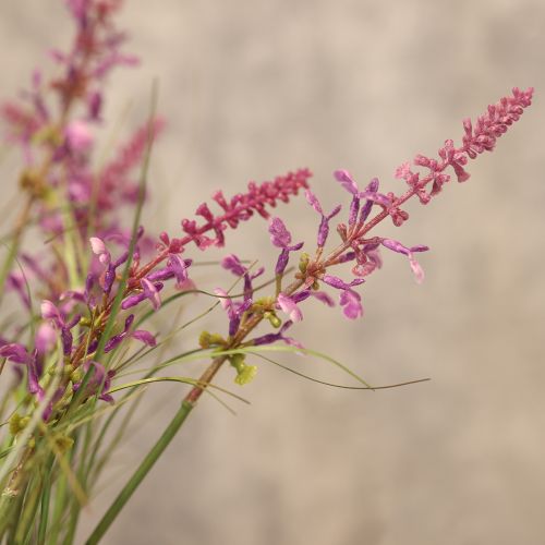 Produkt Dekoracyjna zieleń z delikatnymi kwiatami do stylowej aranżacji pokoju 67cm