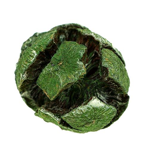 Floristik24 Szyszki cyprysowe 3cm zielone 500g