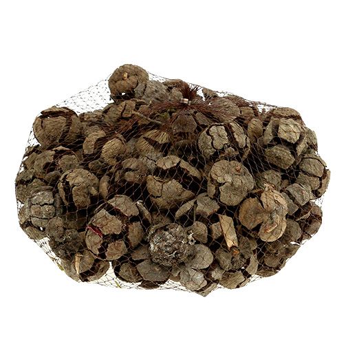 Produkt Szyszki cyprysowe natura 3cm 500g