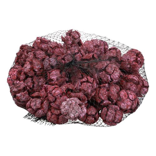 Produkt Szyszki cyprysu matowa dekoracja naturalna 3cm ciemnoczerwona 500g