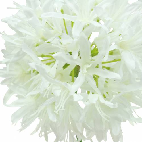 Produkt Allium ozdobne sztuczne białe Ø12cm H62cm