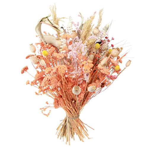 Produkt Krwawnik pospolity Achillea suszone kwiaty łąkowe łosoś 40-50cm 80g