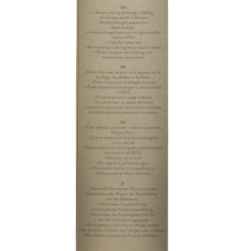 Produkt Róża Nieskończoności z Zachowanymi Liśćmi Amorosa Czerwona L54cm