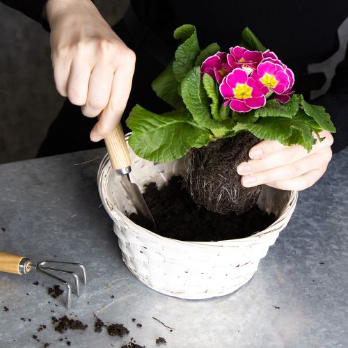 Produkt Dekoracja wiklinowa do wszechstronnego wykorzystania w aranżacji wnętrz, 20 cm, 8 szt.