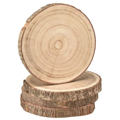 Floristik24 Krążek drzewny Paulownia dekoracja z drewna naturalny Ø17-21cm 4 szt