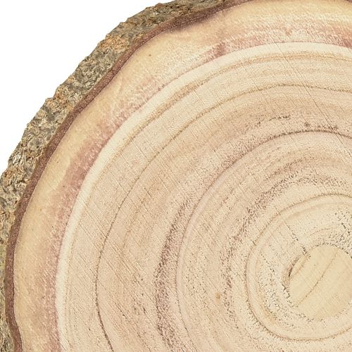 Floristik24 Krążek drzewny Paulownia dekoracja z drewna naturalny Ø17-21cm 4 szt