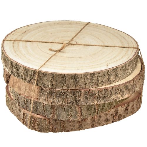 Floristik24 Krążek drzewny Paulownia dekoracja z drewna naturalny Ø17-21cm 4 szt