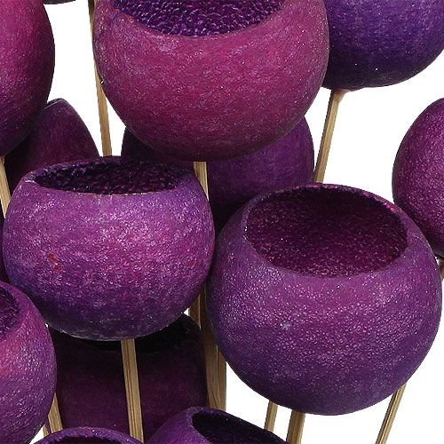 Floristik24 Bell Cup Mix na patyku Erika 15 szt