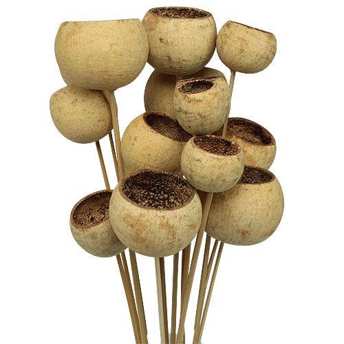 Produkt Bell Cup Mix na patyku Natural Exotics 15 szt