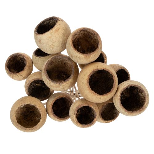 Produkt Mieszanka do kubków Bell Cup na łodydze, odmiany naturalne egzotyczne, 15 sztuk