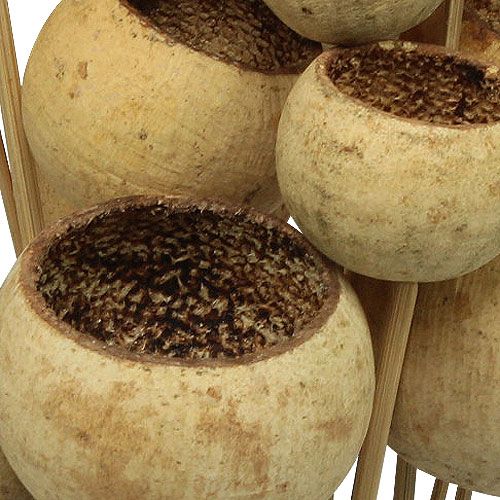 Produkt Bell Cup Mix na patyku Natural Exotics 15 szt