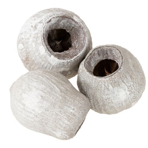 Floristik24 Gumy Bellgums bielone 2cm - 5cm 500g
