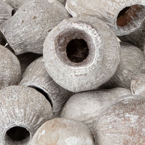 Produkt Gumy Bellgums bielone 2cm - 5cm 500g