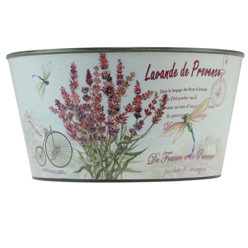 Produkt Plastikowa donica na kwiaty lawendy, okrągła Ø21cm W11cm