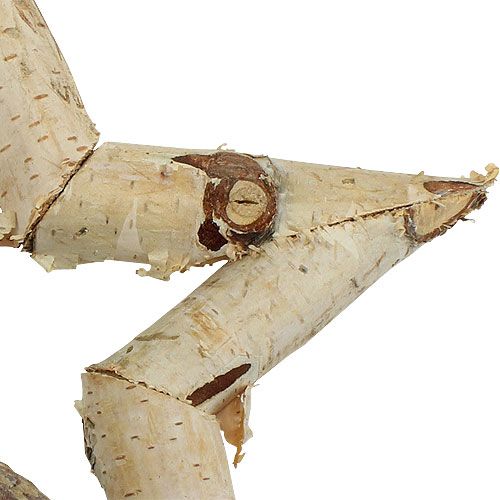 Floristik24 Gwiazda brzozowa do zawieszenia 22cm