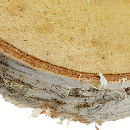 Plastry brzozy okrągłe naturalne 10 sztuk