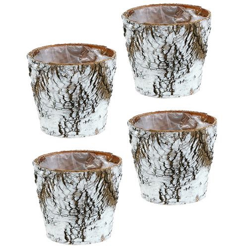 Produkt Doniczka brzozowa średnia doniczka brzozowa biała Ø12cm H10,5cm 4 szt