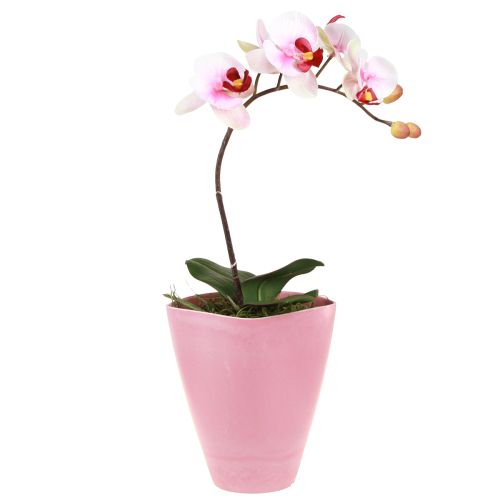 Floristik24 Doniczka Wazon plastikowy Orchidea Doniczka Różowa W16,5cm 4szt