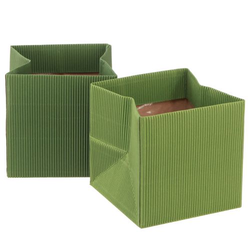 Produkt Woreczek na kwiaty zielony oliwkowy prążkowany z folią 10,5cm 6 szt