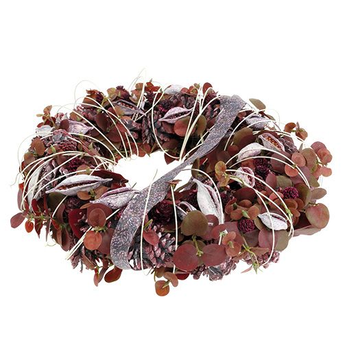 Produkt Brachyciton jeżyna mrożona 500g