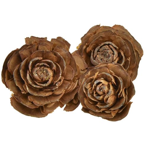 Floristik24 Szyszki cedru wycięte w kształcie róży róży cedrowej 4-6cm naturalne 50 szt