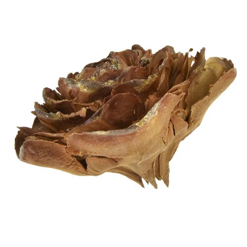Floristik24 Szyszki cedru wycięte w kształcie róży róży cedrowej 4-6cm naturalne 50 szt