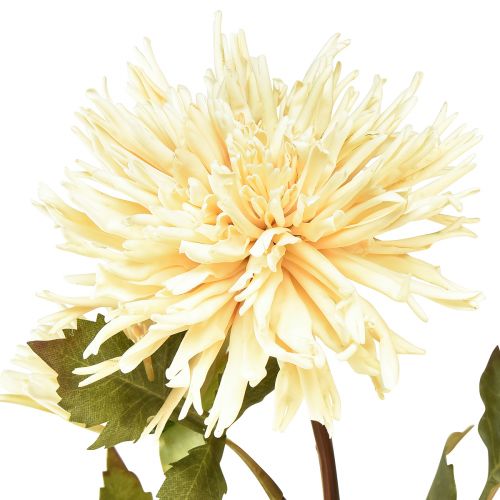 Produkt Chryzantema kremowy sztuczny kwiat z 2 kwiatami L70cm