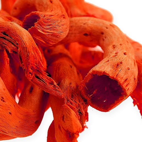Floristik24 Korzeń Cupy w kolorze pomarańczowym 350g