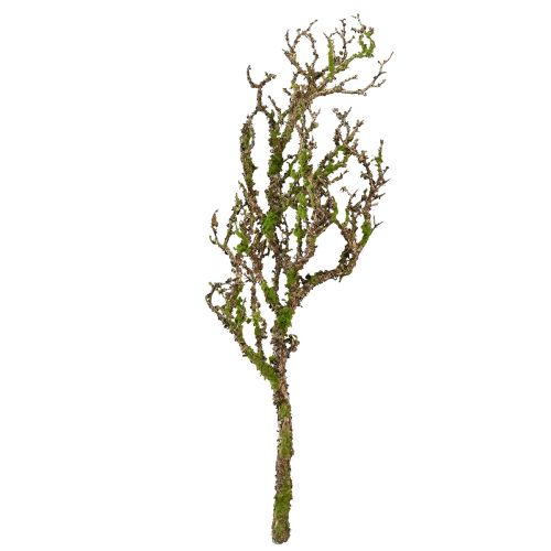 Produkt Dekoracyjna gałązka z mchem sztuczna jesienna dekoracja szaro-zielona L78cm