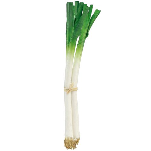 Warzywa dekoracyjne dymka zielona biała Ø1cm dł.28cm 3 szt