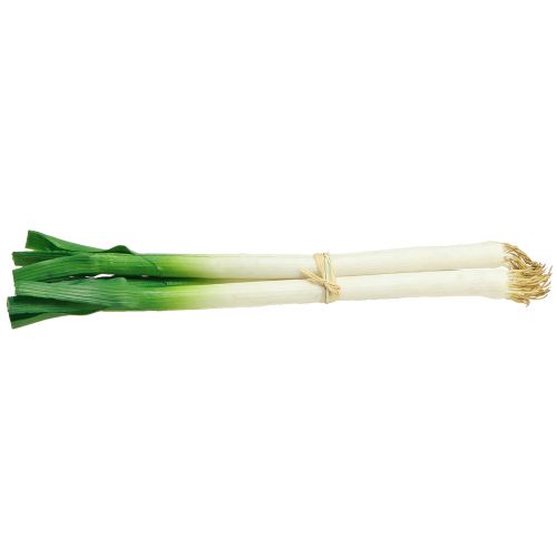 Produkt Warzywa dekoracyjne dymka zielona biała Ø1cm dł.28cm 3 szt