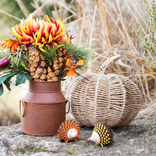Produkt Dekoracyjna rafia dyniowa naturalna rustykalna jesienna dekoracja Ø25cm W25cm