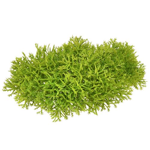 Produkt Mech dekoracyjny sztuczny zielony – poduszka z mchu 10/12/14cm 3 szt