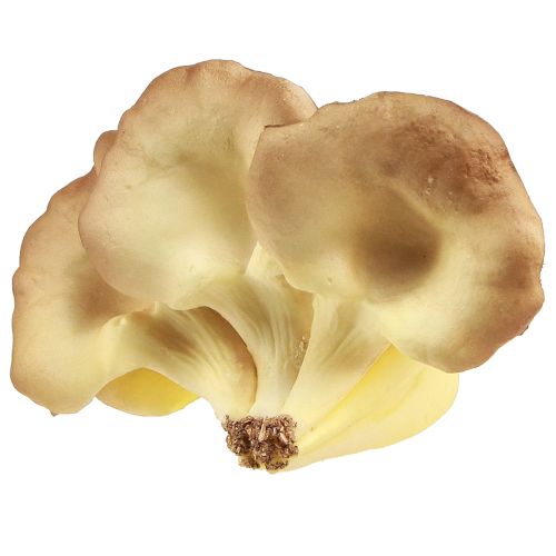 Produkt Grzyby dekoracyjne jasnobrązowe sztuczne boczniaki 19×12×9cm