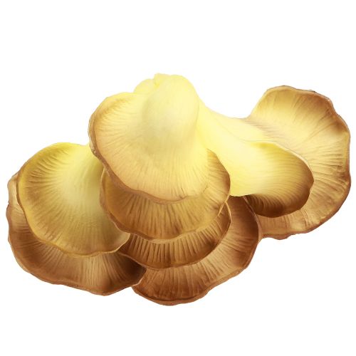 Produkt Grzyby dekoracyjne jasnobrązowe sztuczne boczniaki 19×12×9cm