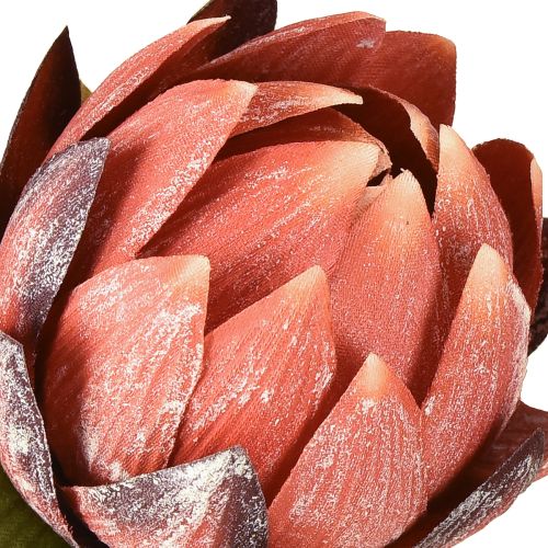 Produkt Kwiaty sztuczne Protea dekoracyjna czerwono-pomarańczowe 34cm 3szt.