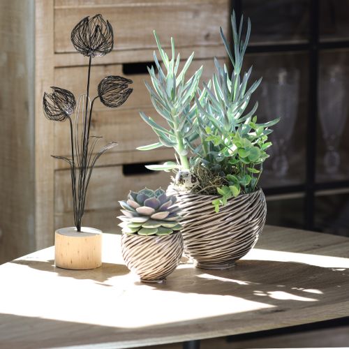 Produkt Dekoracyjna miska doniczka ceramiczna beżowo-brązowa Ø15cm 2szt