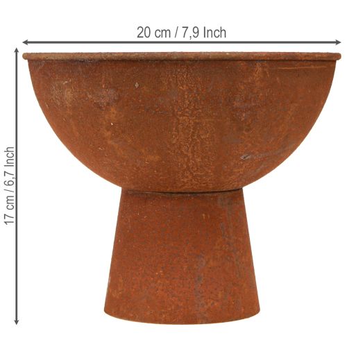 Produkt Miska dekoracyjna z nóżką, czarka, metal w kolorze rdzy, Ø20,5 cm, 2 sztuki