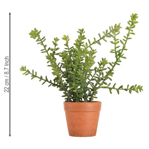 Produkt Dekoracyjny Tymianek w Doniczce Sztuczne Zioła Dekoracja Kuchenna 25cm