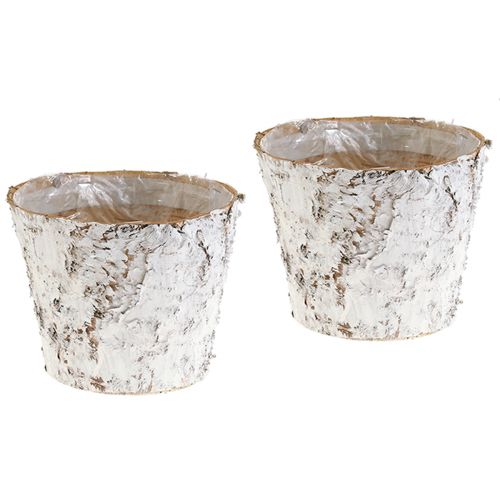 Doniczka dekoracyjna z brzozy bielonej Ø18cm W15cm 2szt