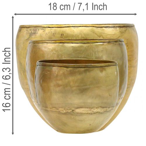 Wazony dekoracyjne, metalowe, imitacja mosiądzu, Ø18/15/12,5 cm, zestaw 3 szt. | Floristik24.pl