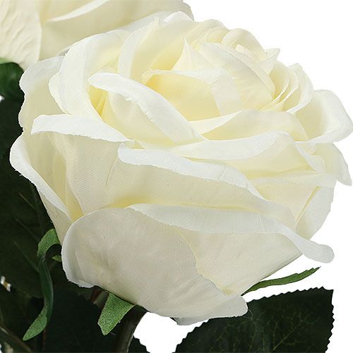 Produkt Róża dekoracyjna kremowa wypełniona Ø8cm L68cm 3szt.