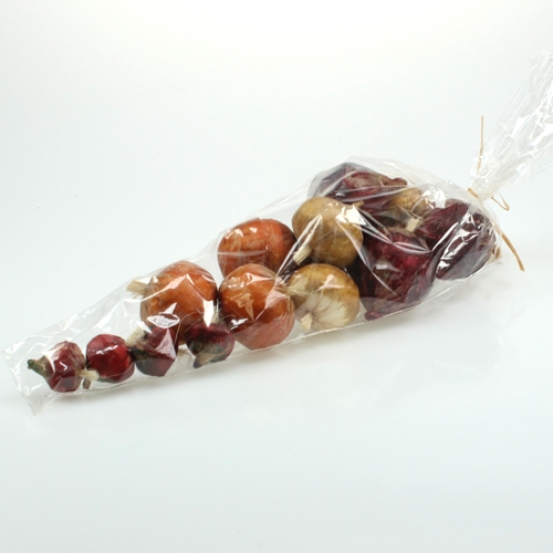 Floristik24 Cebula duża