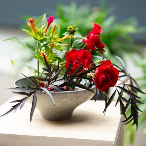 Floristik24 Miska dekoracyjna z podstawą, okrągła, szara, Ø19cm, wys.8cm