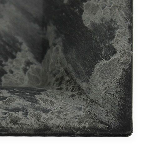 Floristik24 Talerz plastikowy 20cm x 20cm kwadratowy antracyt 6szt.