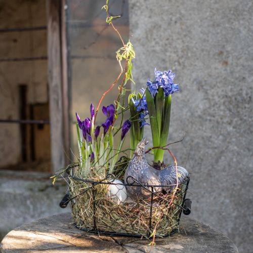 Produkt Kosz druciany owalny z uchwytem 27x16,5cm W13,5cm brązowy