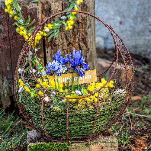 Produkt Kosz druciany Kosz metalowy w kolorze rdzy z uchwytem 22,5x11,5x26,5cm