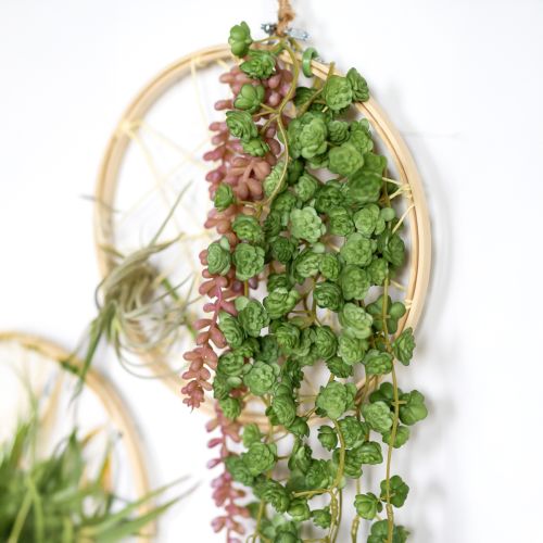 Produkt Echeveria Sztuczne Rośliny Wiszące W Zieleni Szer. 12 cm Dł. 50 cm