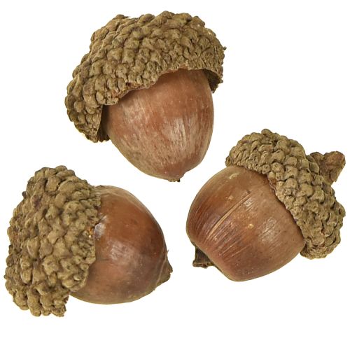 Produkt Żołędzie do dekoracji, dekoracja jesienna, naturalne owoce jesienne Ø1,5 – 2,5 cm Dł.1,5 – 3 cm 300 g