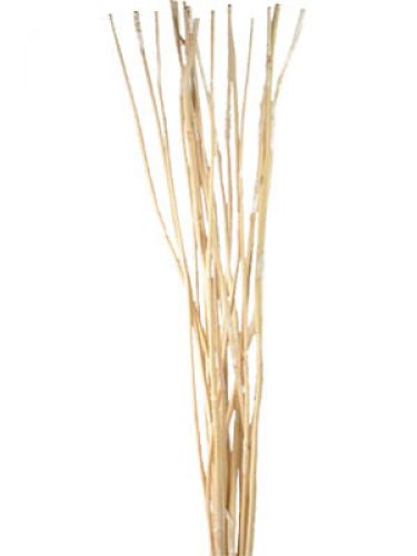 Floristik24 Deco Sticks, Elephant Reed bielone 20szt